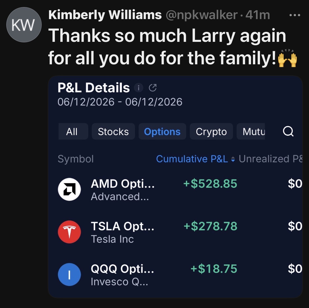 Stock options profit summary