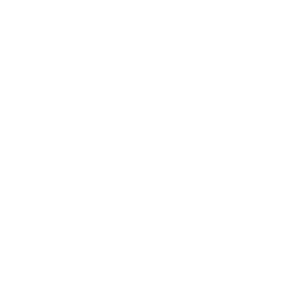 Play button icon in a circle.